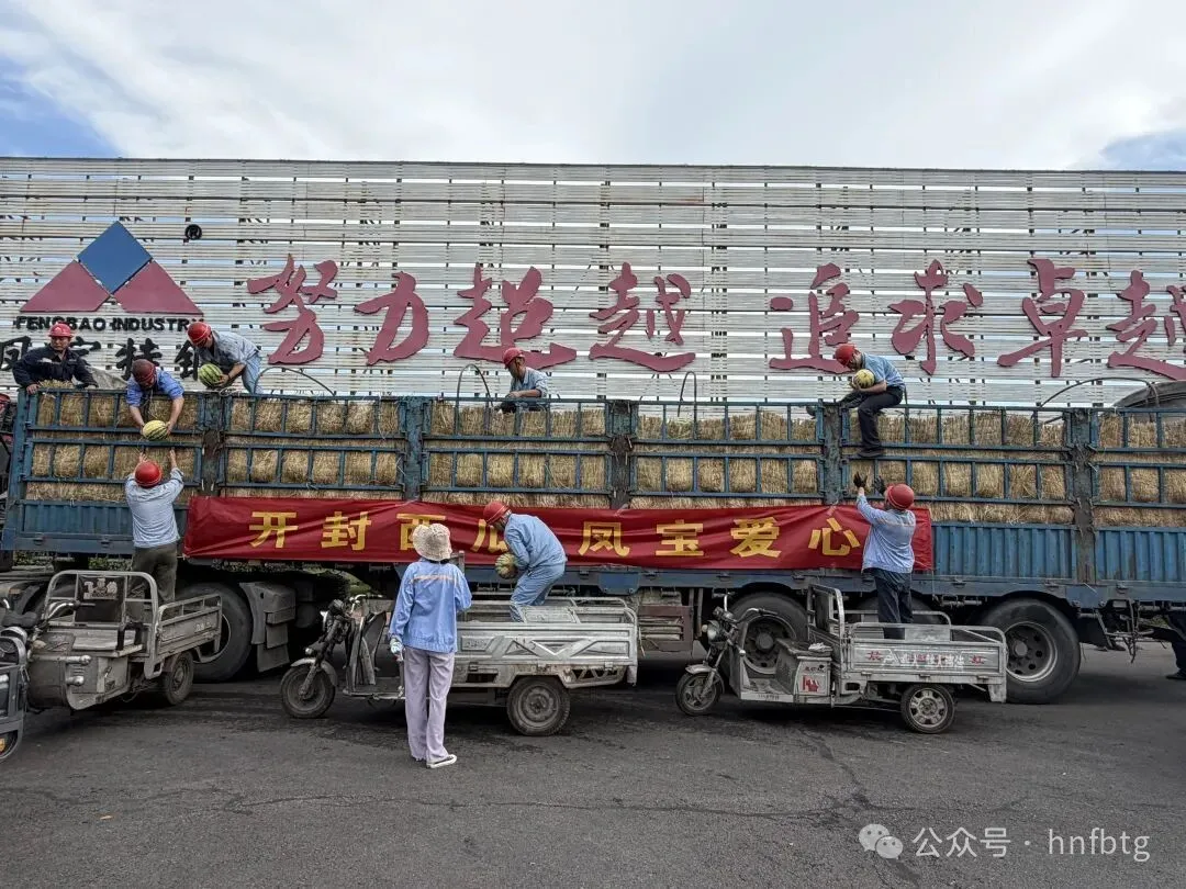 开封西瓜  安博在线-安博(中国)爱心